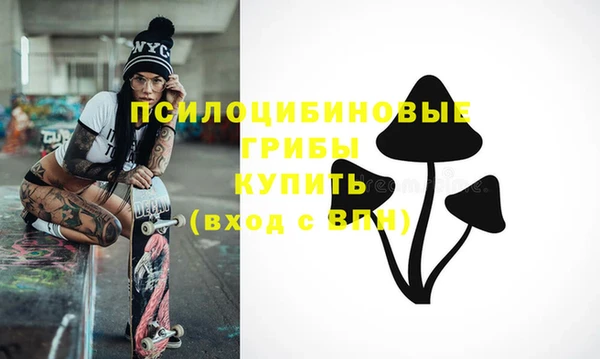 ПСИЛОЦИБИНОВЫЕ ГРИБЫ Аркадак