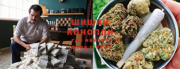 ПСИЛОЦИБИНОВЫЕ ГРИБЫ Аркадак