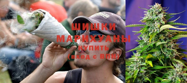 ПСИЛОЦИБИНОВЫЕ ГРИБЫ Аркадак